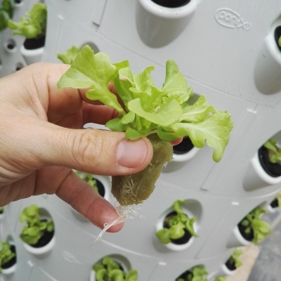 Torre Aeroponia - 120 plantas