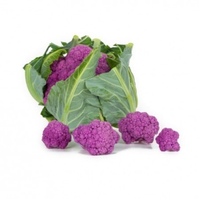https://www.groho.pt/product/sementes-hibridas-couve-flor-roxa https://www.groho.pt/product/sementes-hibridas-couve-flor-roxa