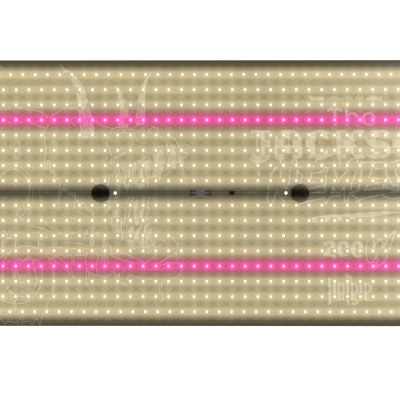 The Jackson Nemesis 200w
