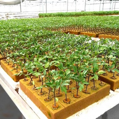 Caixa de Espuma Fenólica 5x5x5