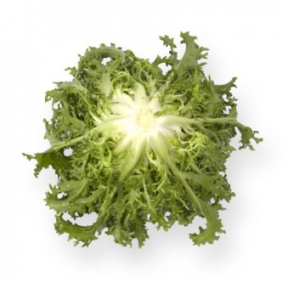 https://www.groho.pt/product/sementes-peletizadas-chicoria-cigal https://www.groho.pt/product/sementes-peletizadas-chicoria-cigal