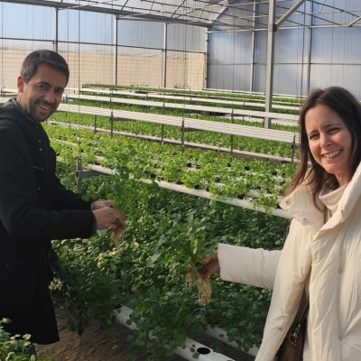 Estufa de Hidroponia (NFT) - Alcanena