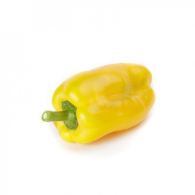 https://www.groho.pt/product/sementes-hibridas-pimento-plinio https://www.groho.pt/product/sementes-hibridas-pimento-plinio