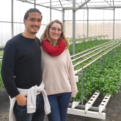 Workshop Hidroponia Teórico-Prático com Visita Estufa - Data a definir.