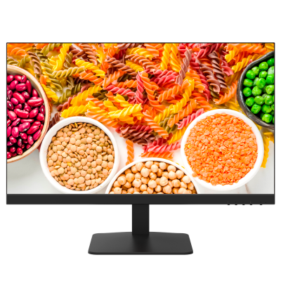 Monitor LED Hikvision DS-D5024F2-1V2S