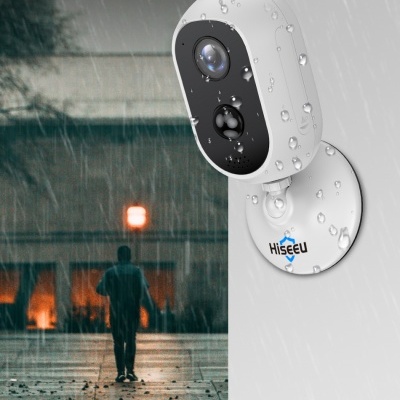 Câmara sem fios (WiFi) Dome Branca 3mpx  - Hiseeu C30