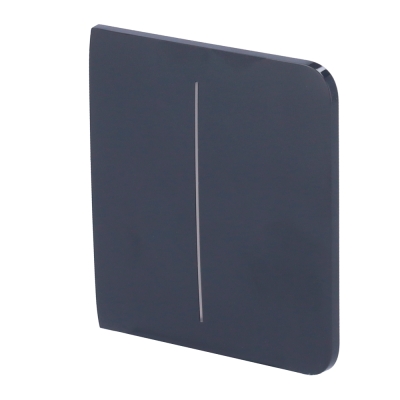 Painel lateral para interruptor compatível com AJ-LightCore 2G - grafite-Ajax AJ-SIDEBUTTON-2G-GRA