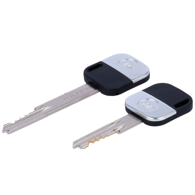 Chaves metálicas com cabo preto e prata