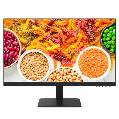 Monitor LED Hikvision DS-D5024F2-1P2