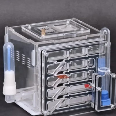 Caixa transparente multifuncional com detalhes azuis