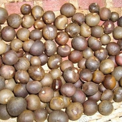 Sementes castanhas arredondadas num cesto de material natural.