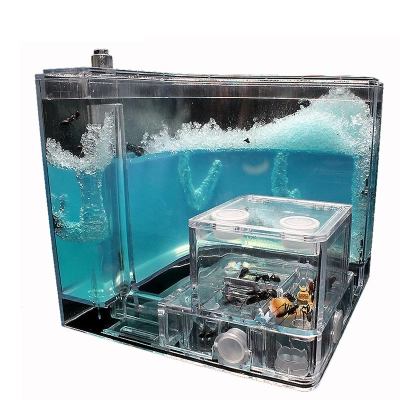 Formicario Ant Farm Formicarium formigas estimação com gel