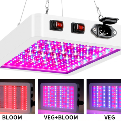 Luz de cultivo LED suspensa com LEDs vermelhos e azuis em modos BLOOM, VEG+BLOOM e VEG