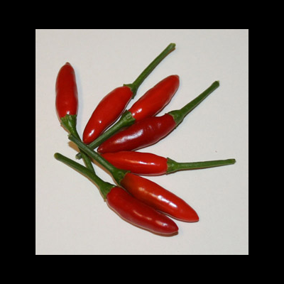 Pack Sementes Piripiri malagueta pimenta