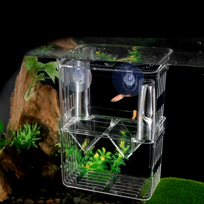 Incubadora caixa isolamento peixes aquário peixes bebes incubadora