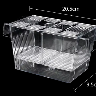 Incubadora caixa isolamento peixes aquário peixes bebes incubadora