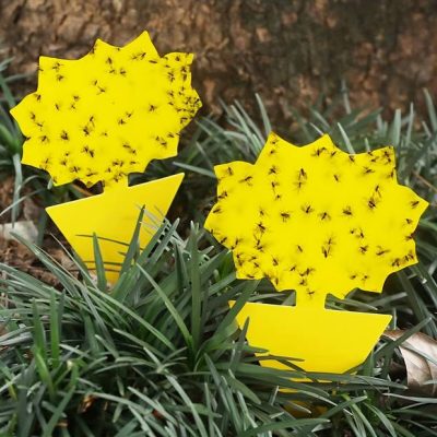 Apanhadores de insetos amarelos em forma de flores na relva