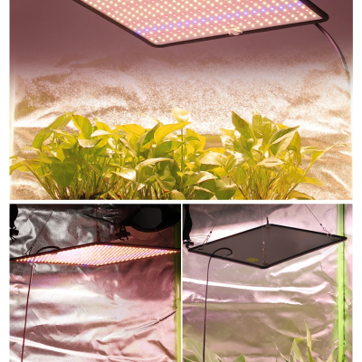 Painel LED de cultivo retangular preto com luzes multicoloridas e plantas verdes num fundo prateado refletor.