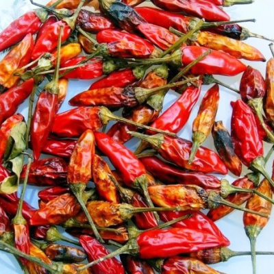 Pack Sementes Piripiri malagueta pimenta