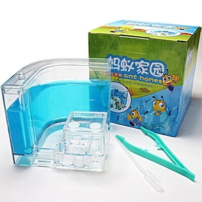 Formicario Ant Farm Formicarium formigas estimação com gel