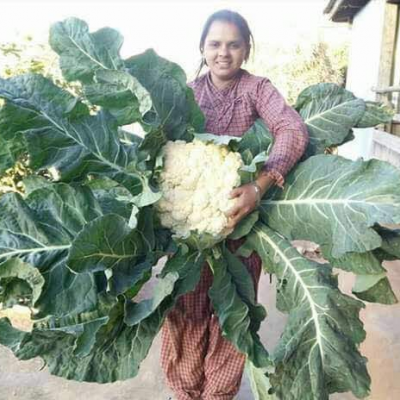 Mulher segurando couve-flor grande com folhas verdes largas ao ar livre