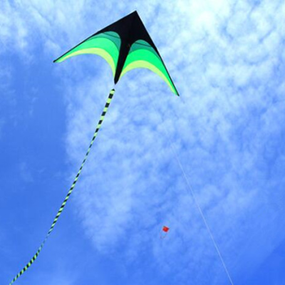 Papagaio de vento Grande 2 Metros Praia Vento Crianças Desporto