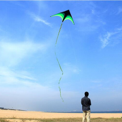 Papagaio de vento Grande 2 Metros Praia Vento Crianças Desporto