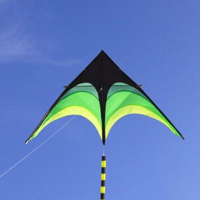 Papagaio de vento Grande 2 Metros Praia Vento Crianças Desporto