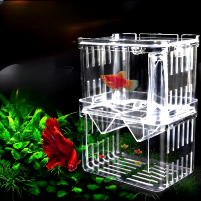 Incubadora caixa isolamento peixes aquário peixes bebes incubadora