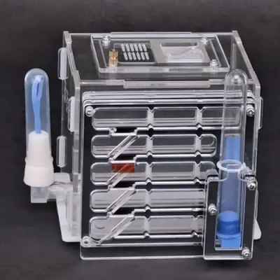 Formigueiro transparente de acrílico com tubos azuis e portas