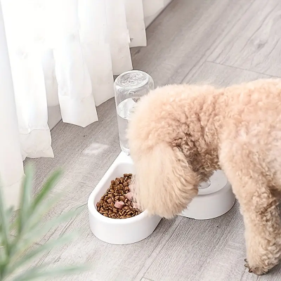 Comedouro duplo branco para cão com dispensador automático de água, cão a comer