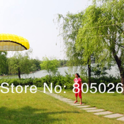 Papagaio de vento Grande 2.5 Metros Parapente Praia Vento Crianças Desporto