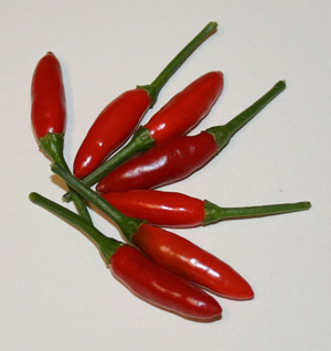 Pack Sementes Piripiri malagueta pimenta