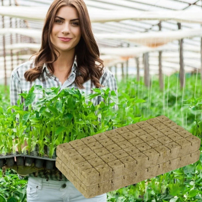 Pack 50 Cubos de Cultivo em Lã de Rocha para Germinação e Hidroponia Ideal para Plantas, Frutas e Terrários