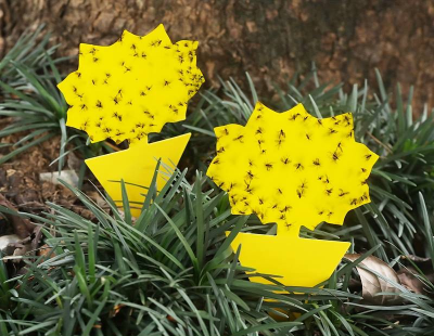 Armadilha mosca branca mosca de fruta insectos mosquitos plantas jardim