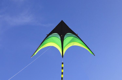 Papagaio de vento Grande 2 Metros Praia Vento Crianças Desporto