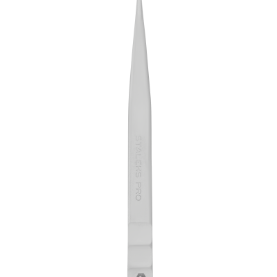 Pinça Profissional para Pestanas STALEKS EXPERT 41 TYPE 10