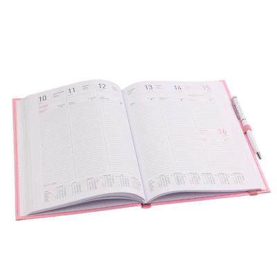 Agenda Planner Book 2026 Victoria Vynn