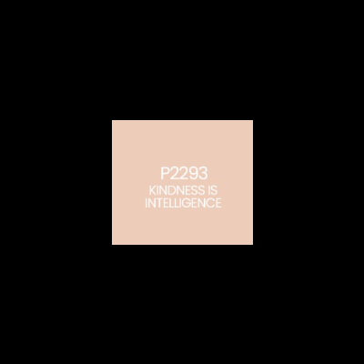 Texto branco 'P2293 KINDNESS IS INTELLIGENCE' sobre fundo rosa claro