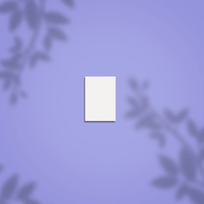 Pack 50 mini limas polidoras STALEKS PRO