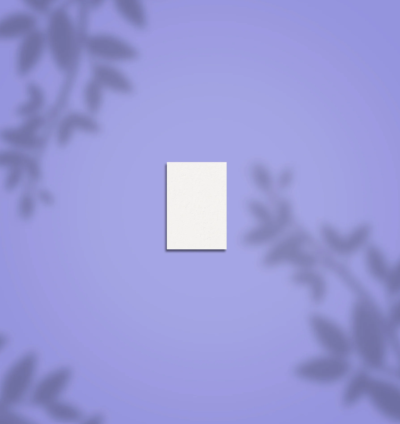 Pack 50 mini limas polidoras STALEKS PRO