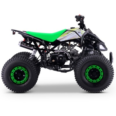 Quad 110cc Automático Roan Pantera R8 Verde
