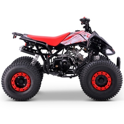 Quad 110cc Automático Roan Pantera R8 Vermelho