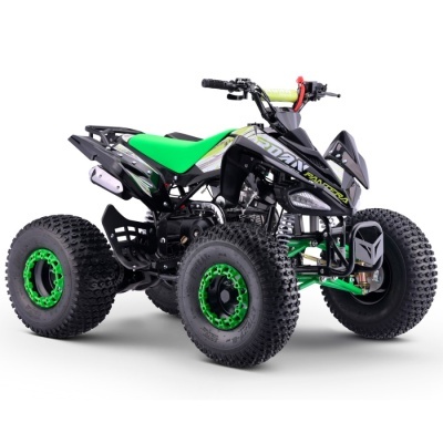 Quad 110cc Automático Roan Pantera R8 Verde
