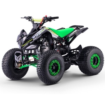Quad 110cc Automático Roan Pantera R8 Verde