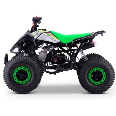 Quad 110cc Automático Roan Pantera R8 Verde