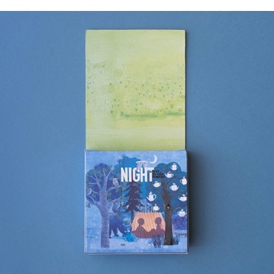 Puzzle Pocket Noite e Dia