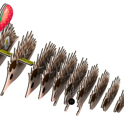 Ouriço Eugy Ouriço Eugy