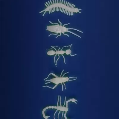 Insectos fosforescentes Moulin Roty