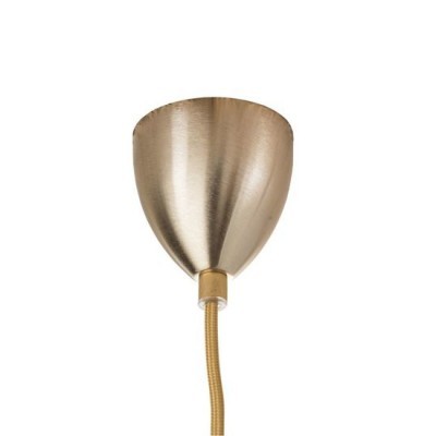 Lute 22 Transparente | Gold